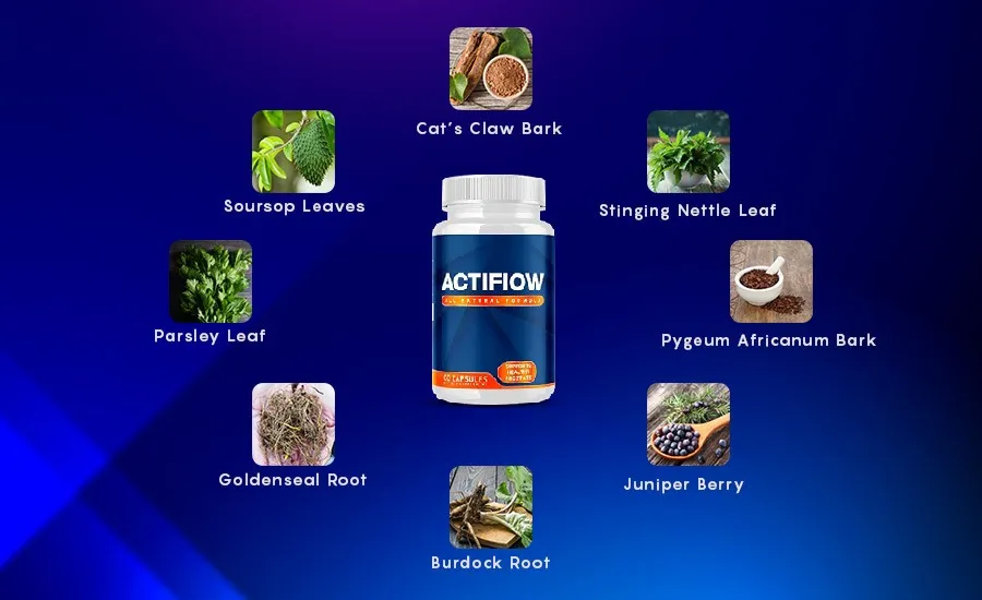 ActiFlow Supplement Facts